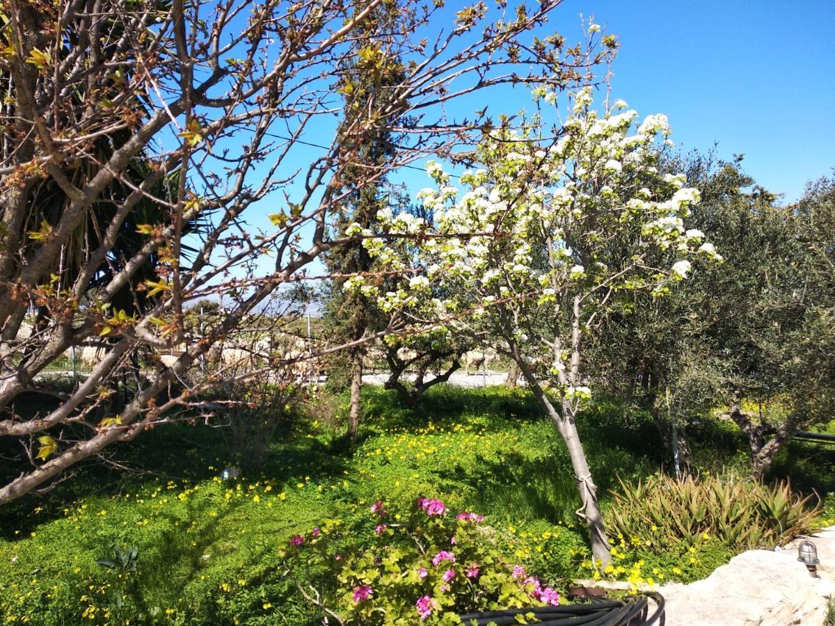 Serapis Country House On The Hill Above Heraklion Off Grid Hotel Archanes Exterior photo